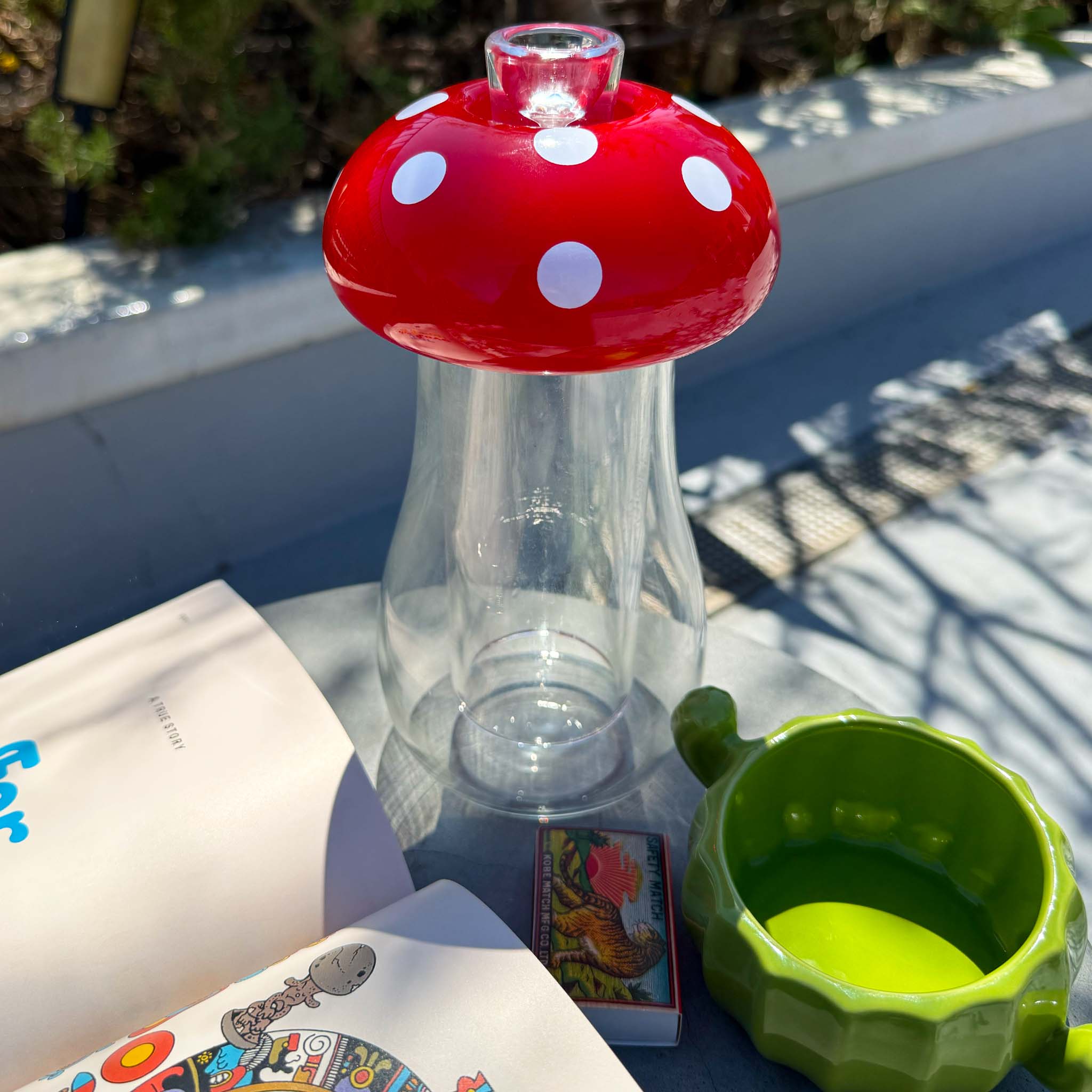 mushroom gravity bong and cactus ash tray outside 